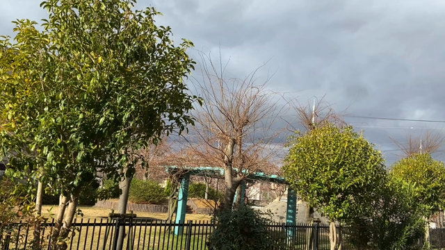 うぐいす餅の記事動画