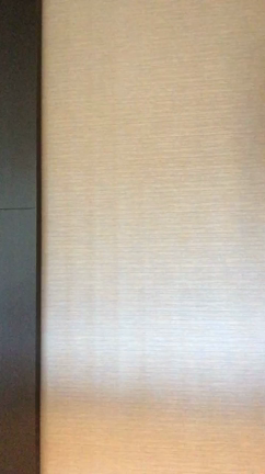 まねきねこの記事動画