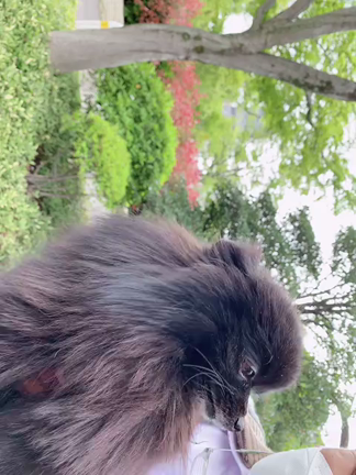 本当に理想のパートナーに出会う思考法の記事動画