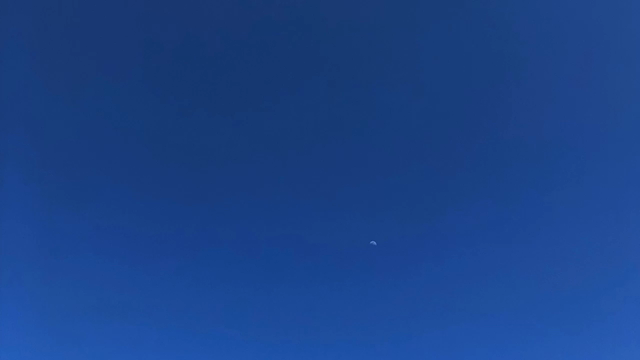 動画の練習中の記事動画