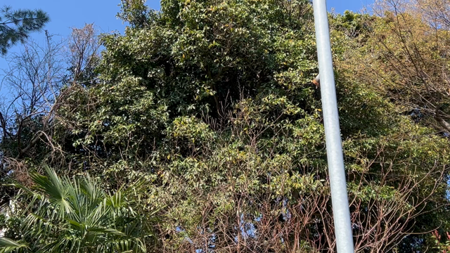 楽しくて仕方がないの記事動画