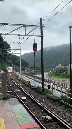 密を避けて！子鉄の乗り鉄・箱根旅！の記事動画