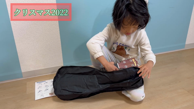 クリスマス無事サンタさんが来ましたの記事動画