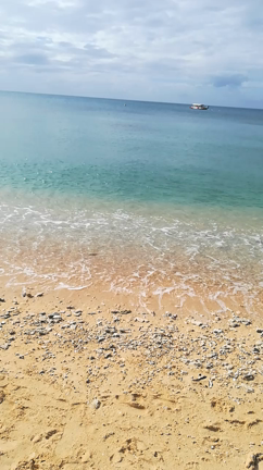 ケアンズ5日目の記事動画