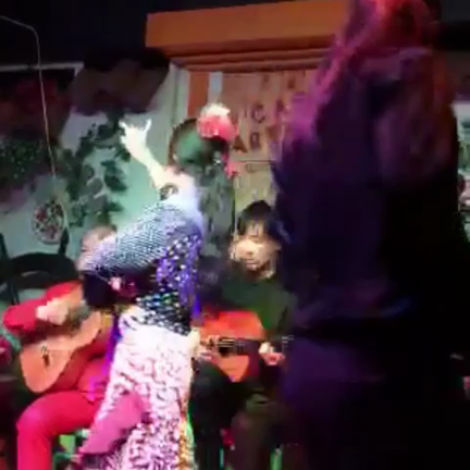 ☆☆出演情報 4/14金四谷三丁目カサアルティスタの記事動画