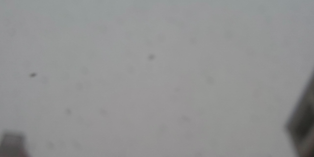 昨日の雪の記事動画