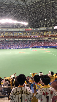 捉えた！6連打！怒涛の攻撃 山井をKO 虎打線の記事動画