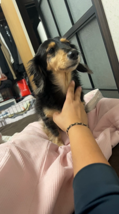 明日はおおさかの記事動画