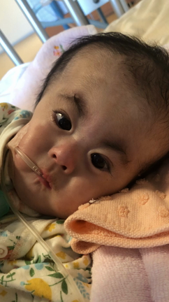 生後356日目、皆さまありがとうございます。の記事動画