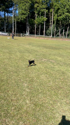 2023ラストキャンプの記事動画