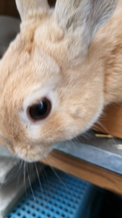 あっという間に年末の記事動画