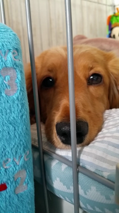 弱いんよね～！の記事動画