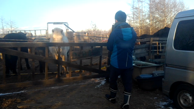 演奏会の記事動画