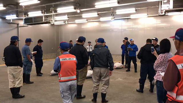 市場見学のご案内 (ﾉ´▽｀)ﾉの記事動画