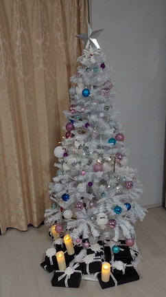 Happy Holiday♪の記事動画