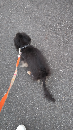 9月のるちさんの記事動画