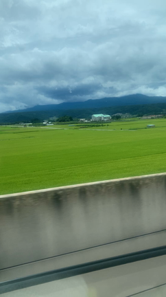 帰省します～の記事動画