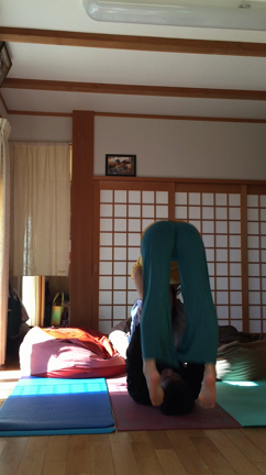 アクロヨガの練習しましたの記事動画