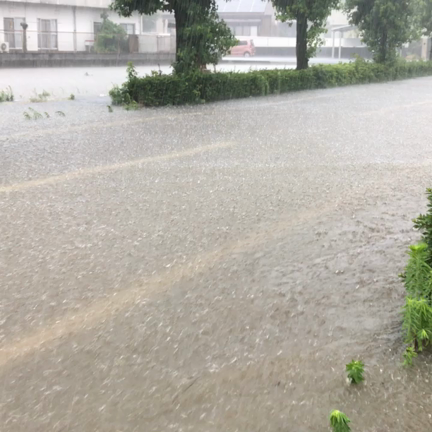 大雨により作業中止に…の記事動画