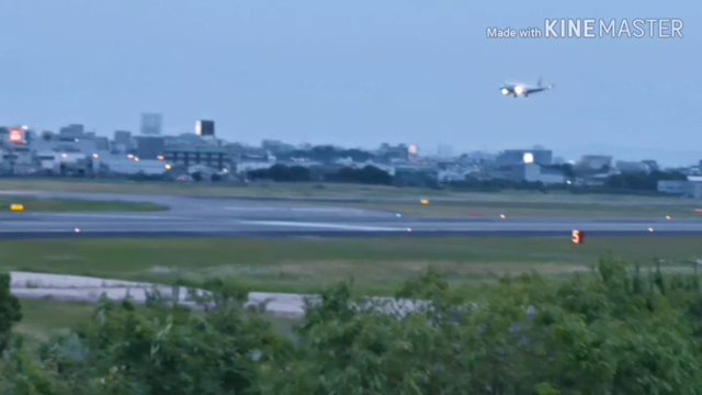 伊丹スカイパークにての記事動画