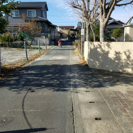 自転車、頑張ってます！の記事動画