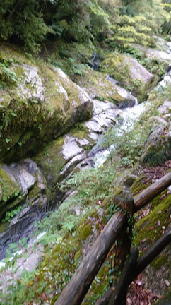 屋久島　17 【のりこ】の記事動画