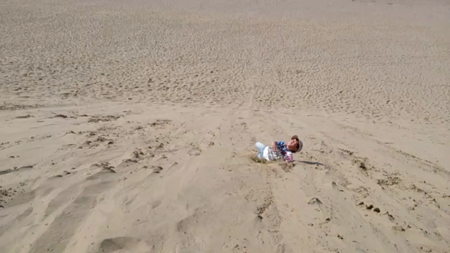 オープニングへの記事動画