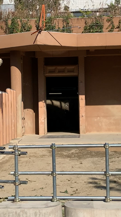 またまたの記事動画