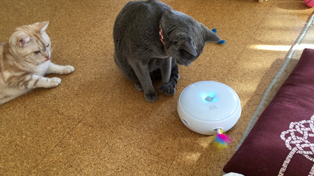 クリスマスプレゼント その1の続きの記事動画