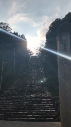 愛媛県松山市に出張に行ってまいりましたの記事動画