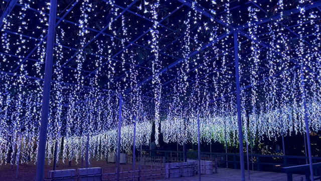 あしかがフラワーパークさんに行ってきました(≧∇≦)/の記事動画