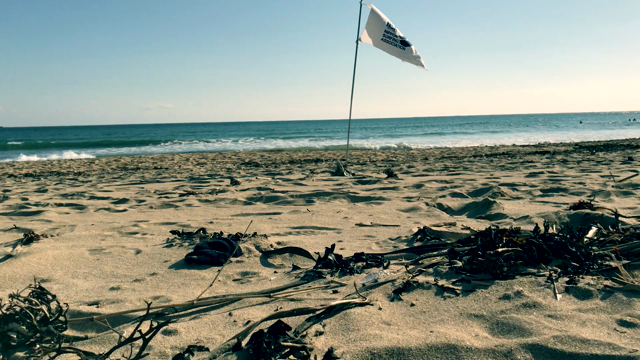 今年の大会これにて終〜了〜の記事動画