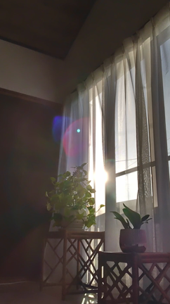 精霊さんとインナーアースからの光　愛と豊かさのマザーガイアの輝きの記事動画