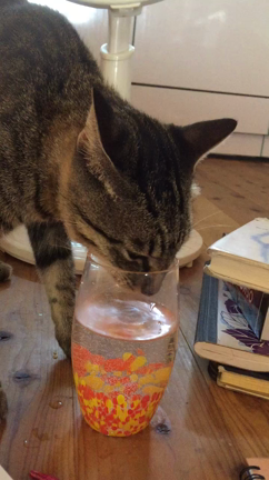 火が溜まってるの記事動画