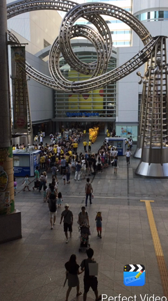 今年も！ピカチュウ大量発生チュウ！の記事動画