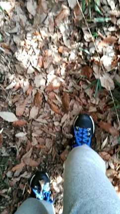 【ブログ】ソウル・トレイン登山部（仮）【2020】の記事動画