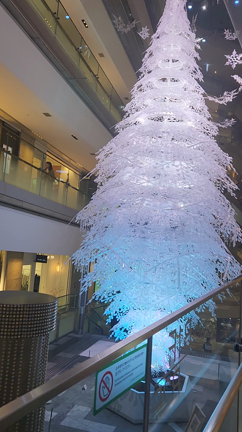 ◎13年前思っていたこと～衣について～の記事動画