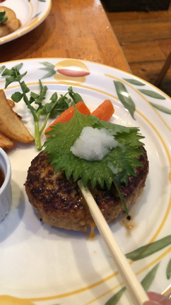 ハンバーグ♪の記事動画