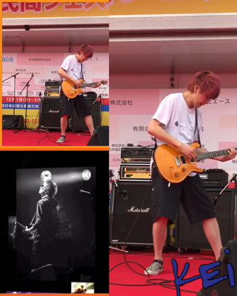 o(*’▽’*)/☆ﾟ’癒しの動画の記事動画