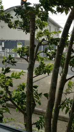 台風14号の記事動画