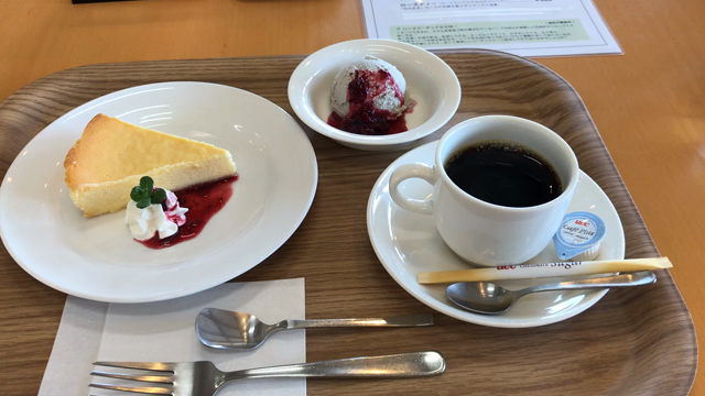 お気に入りの店の記事動画