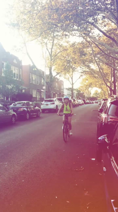 最後の夏かな？の記事動画