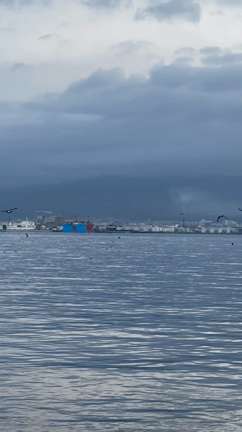 土曜の海（動画編）の記事動画