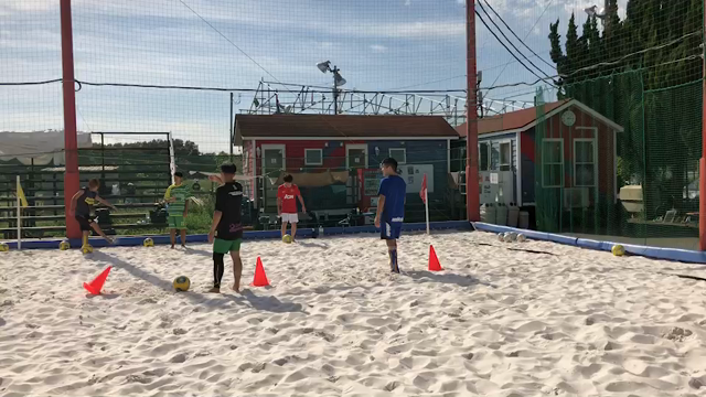 第13回 原口クリニック レポートの記事動画