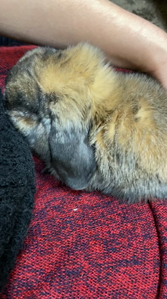 あっと言う間の記事動画