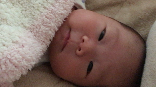 今朝の一コマ。の記事動画