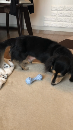 少し成長したかな？の記事動画