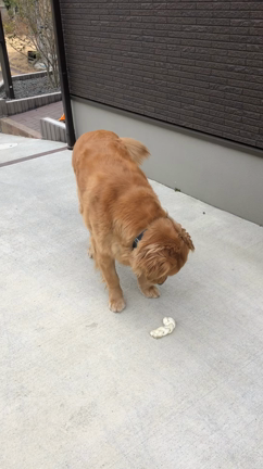 ２時間サスペンスを真剣にの記事動画