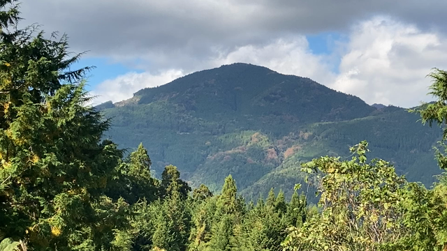 三山ひろしさん　419 紅葉のふるさと！の記事動画