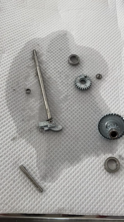 ピシファン　オーバーホール　〜洗浄・組上げ編〜の記事動画